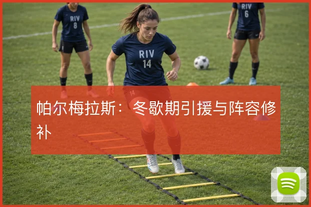 帕尔梅拉斯：冬歇期引援与阵容修补