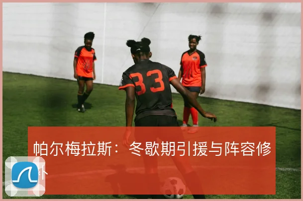 帕尔梅拉斯:冬歇期引援与阵容修补